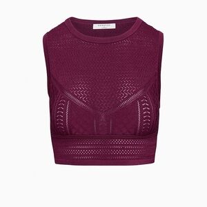 Aritzia Babaton Pointelle Tank